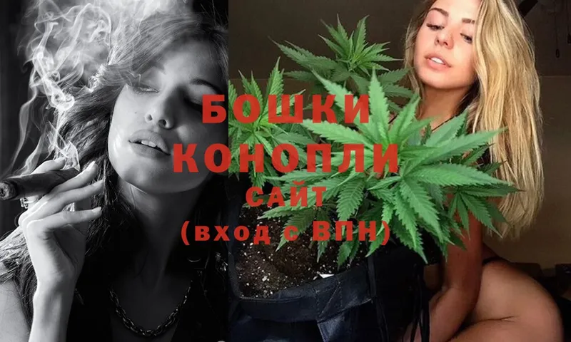 Бошки марихуана SATIVA & INDICA  Камызяк 